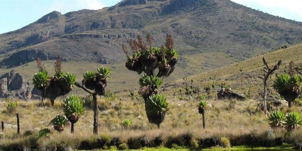 Mount Elgon National Park