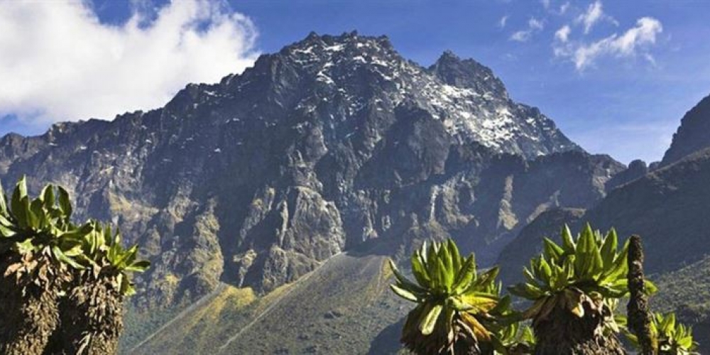 Rwenzori Mountains National Park