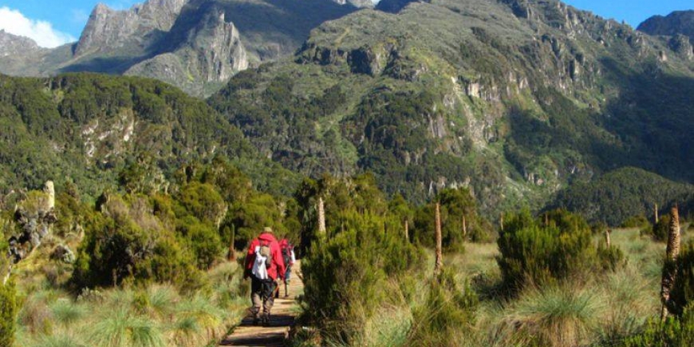 hiking mount elgon